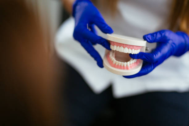  Murfreesboro, NC Dental Services Pros